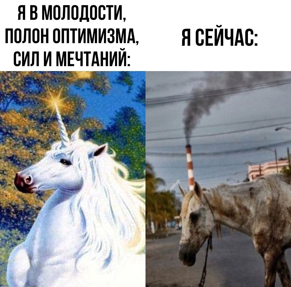 Я В МОЛОДОСТИ, ПОЛОН ОПТИМИЗМА, СИЛ И МЕЧТАНИЙ: Я СЕЙЧАС: