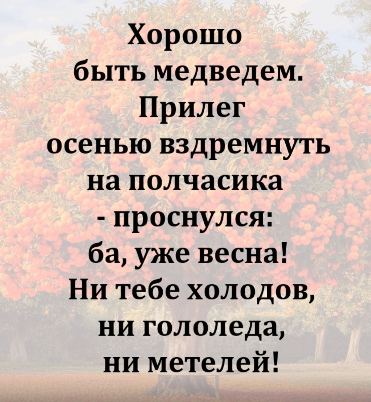 Хорошо быть медведем. Прилег осенью вздремнуть на полчасика - проснулся: ба, уже весна! Ни тебе холодов, ни гололеда, ни метелей!