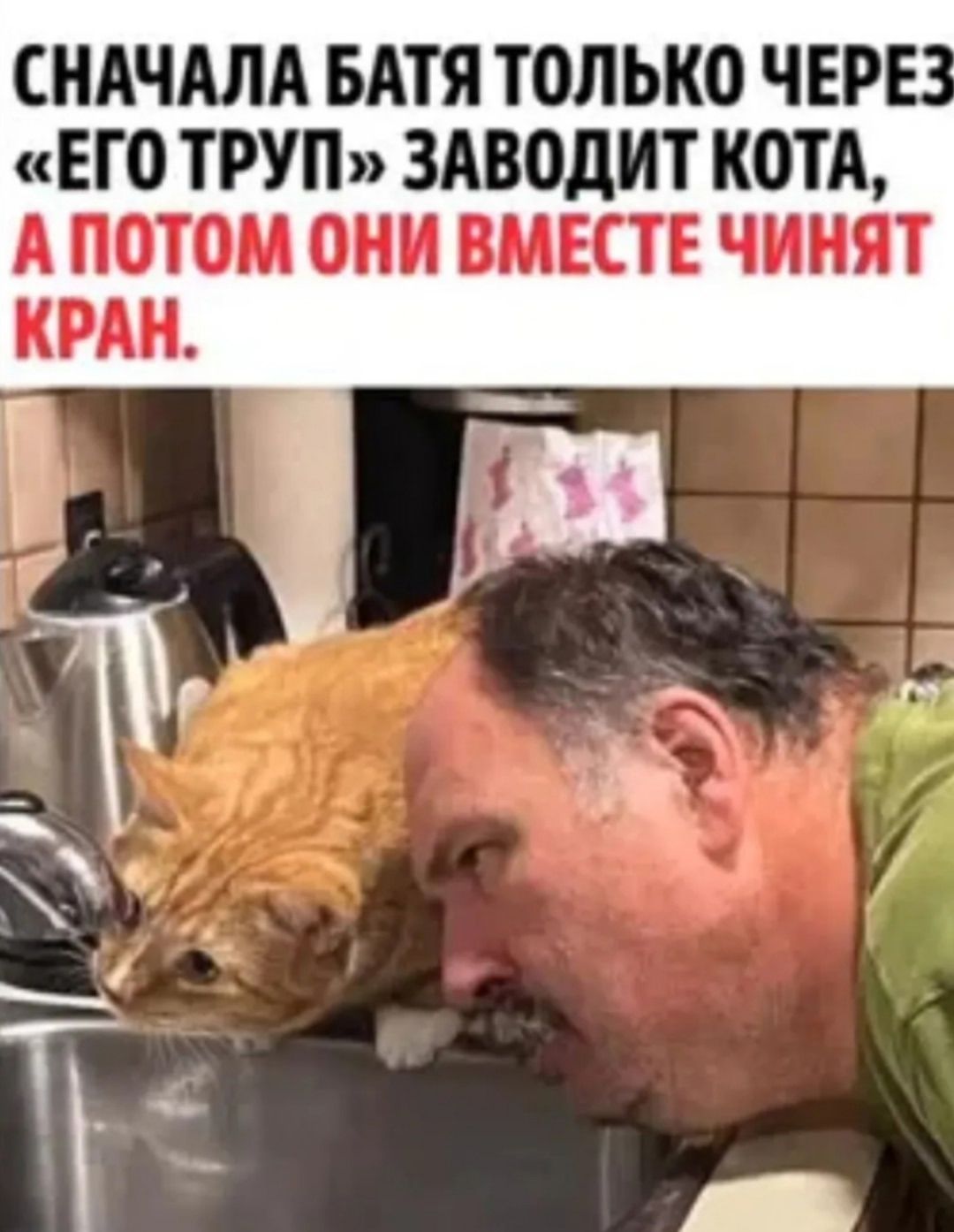 СНАЧАЛА БАТЯ ТОЛЬКО ЧЕРЕЗ ЕГО ТРУП ЗАВОДИТ КОТА, А ПОТОМ ОНИ ВМЕСТЕ ЧИНЯТ КРАН.