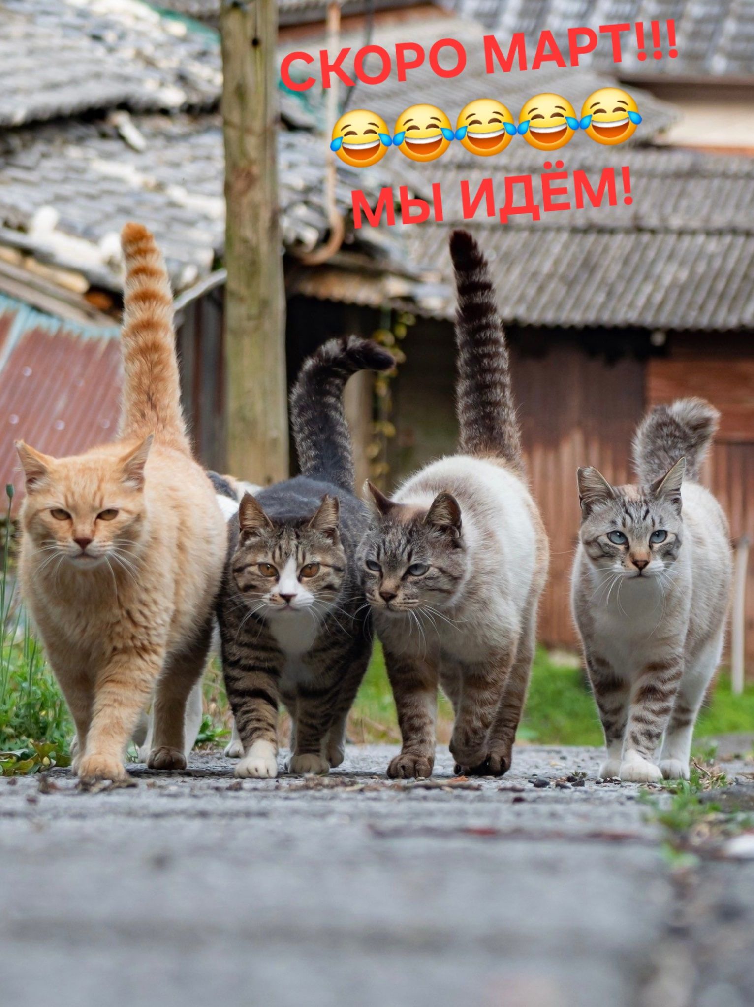 СКОРО МАРТ!!! МЫ ИДЁМ!