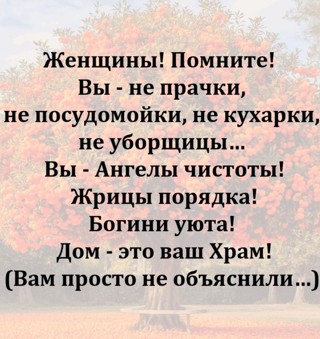 Женщины! Помните!\nВы - не прачки,\nне посудомойки,\nне кухарки,\nне уборщицы…\nВы - Ангелы чистоты!\nЖрицы порядка!\nБогини уюта!\nДом - это ваш Храм!\n(Вам просто не объяснили...)