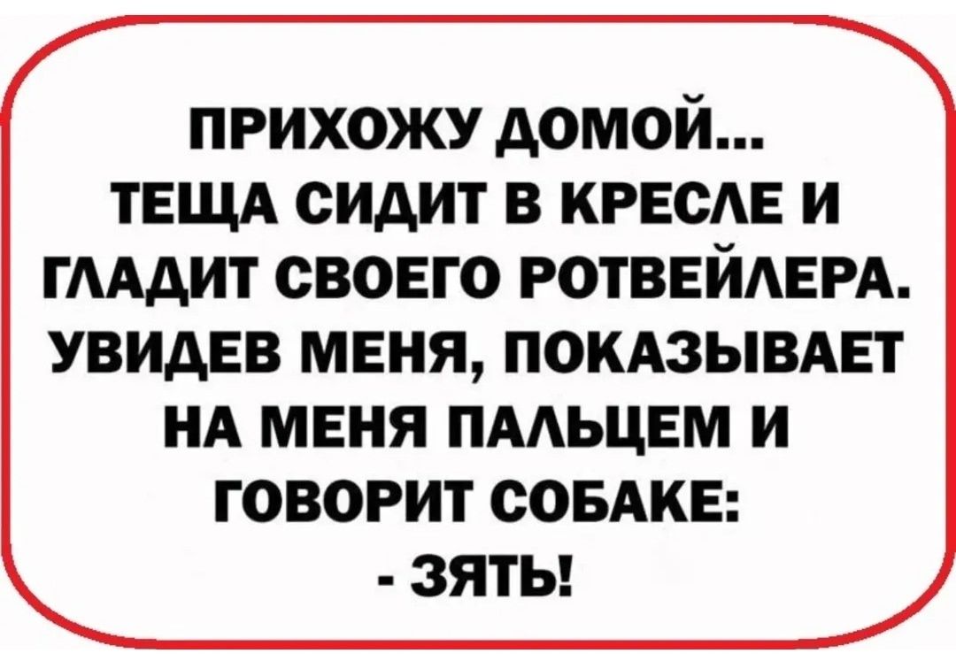 ПРИХОЖУ ДОМОЙ... ТЕЩА СИДИТ В КРЕСЛЕ И ГЛАДИТ СВОЕГО РОТВЕЙЛЕРА. УВИДЕВ МЕНЯ, ПОКАЗЫВАЕТ НА МЕНЯ ПАЛЬЦОМ И ГОВОРИТ СОБАКЕ: - ЗЯТЬ!