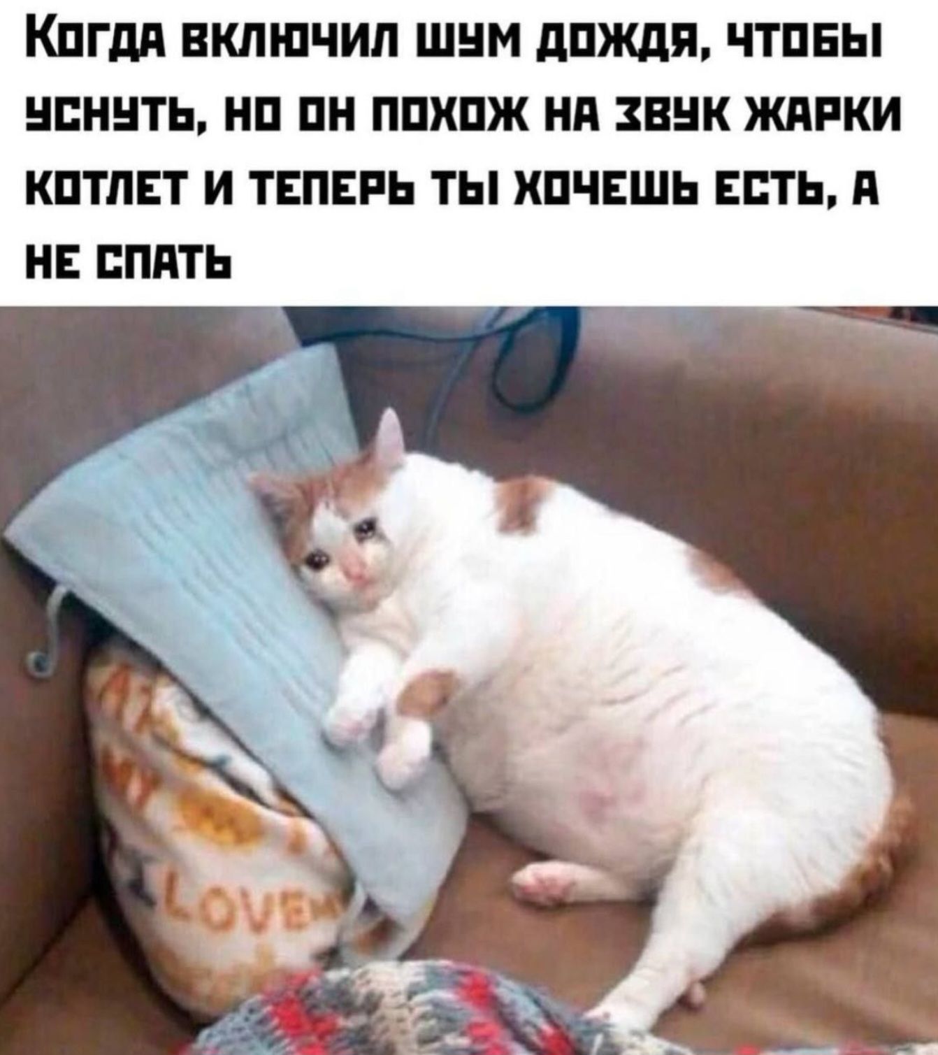 Когда включил шум дождя, чтобы уснуть, но он похож на звук жарки котлет и теперь ты хочешь есть, а не спать