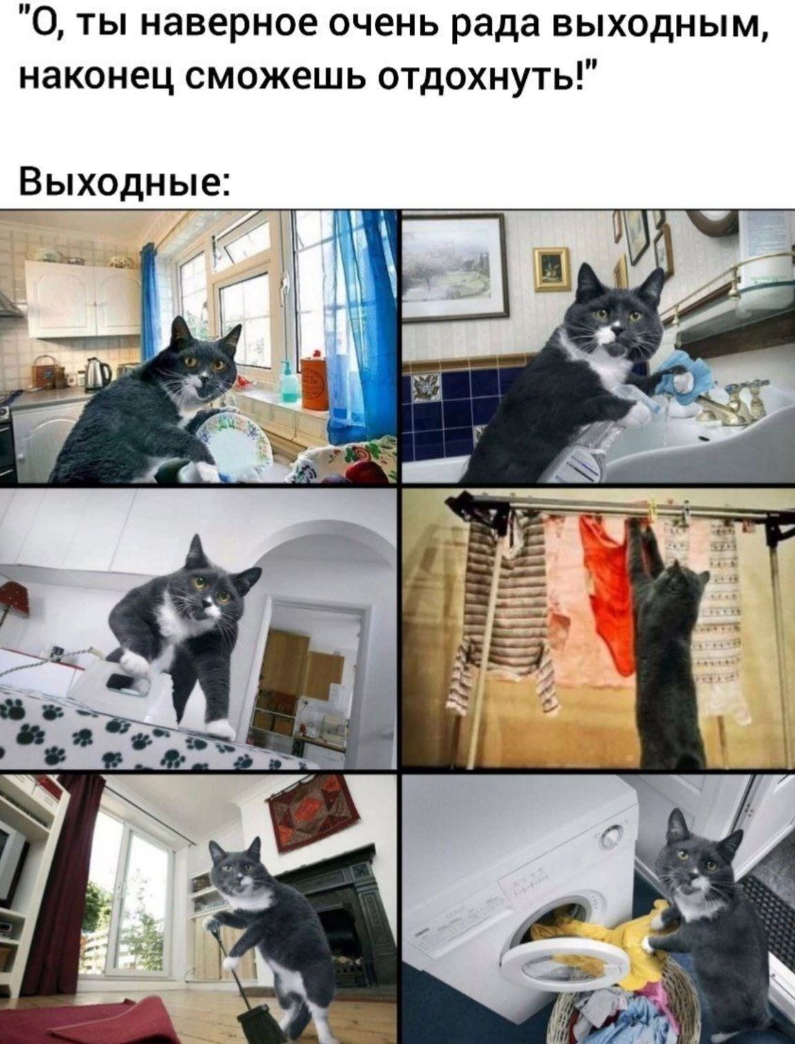 «О, ты наверное очень рада выходным, наконец сможешь отдохнуть!»\n\nВыходные: