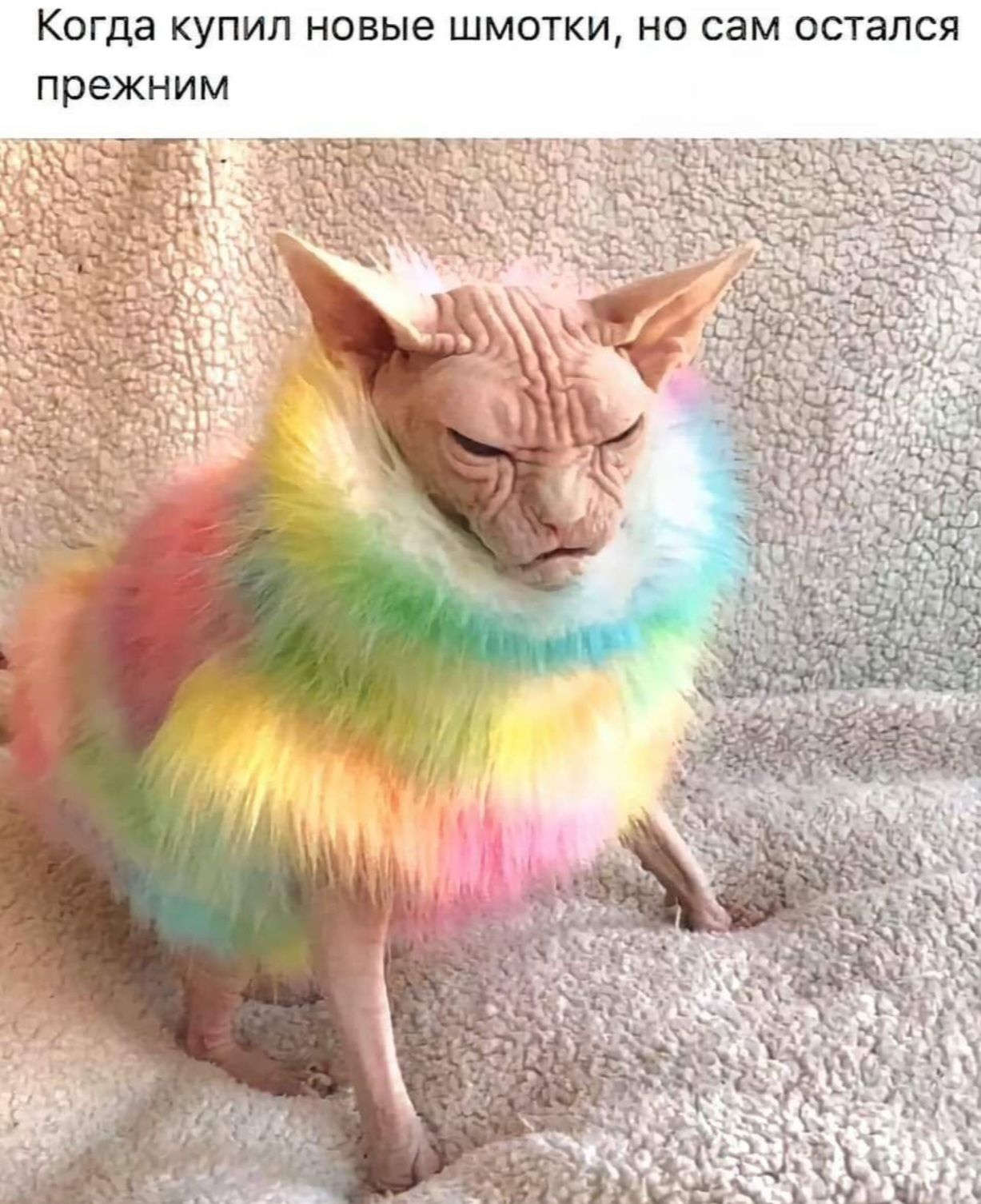 Когда купил новые шмотки, но сам остался прежним