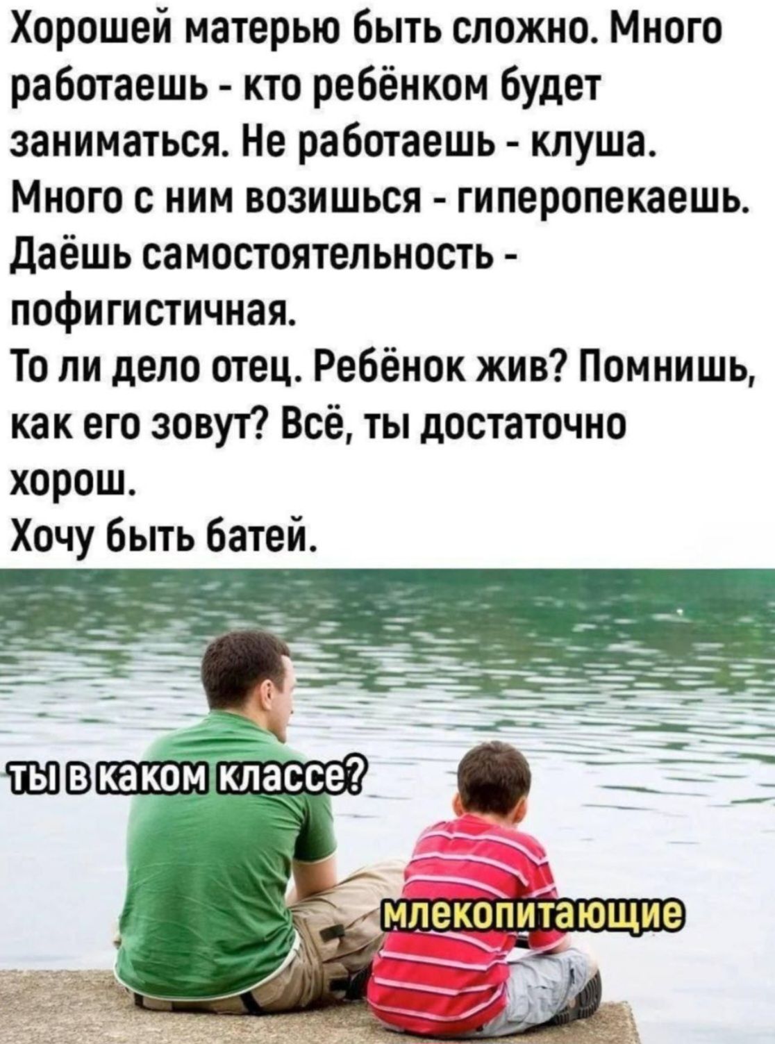Хорошей матерью быть сложно. Много работаешь - кто ребёнком будет заниматься. Не работаешь - клуша. Много с ним возишься - гиперопекаешь. Даёшь самостоятельность - попфигистическая. То ли дело отец. Ребёнок жив? Помнишь, как его зовут? Всё, ты достаточно хорош. Хочу быть батей. Ты в каком классе? млекопитающие