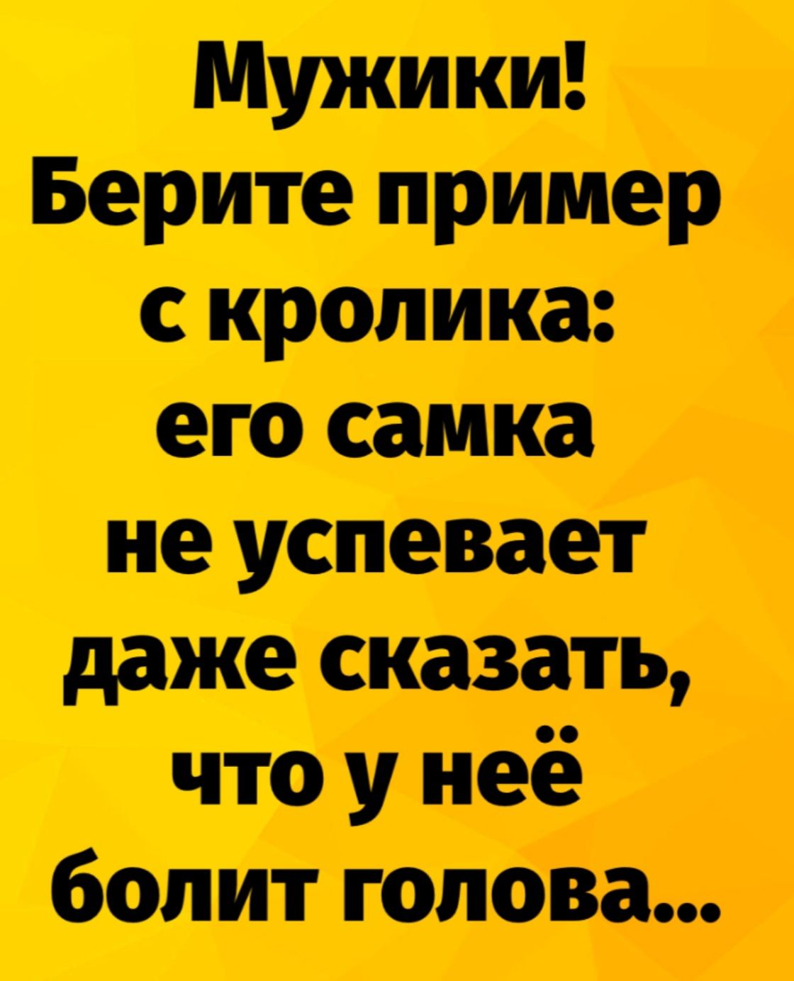 Мужики! Берите пример с кролика: его самка не успевает даже сказать, что у неё болит голова...