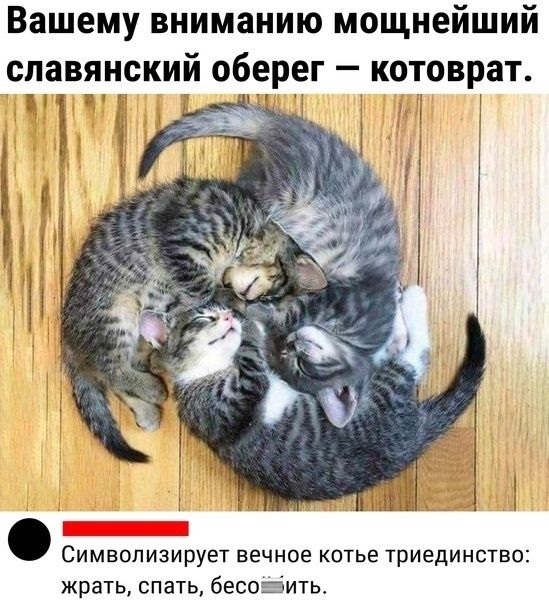 Вашему вниманию мощнейший славянский оберег — котовар. Символизирует вечное котье триедиинство: жрать, спать, бесить.