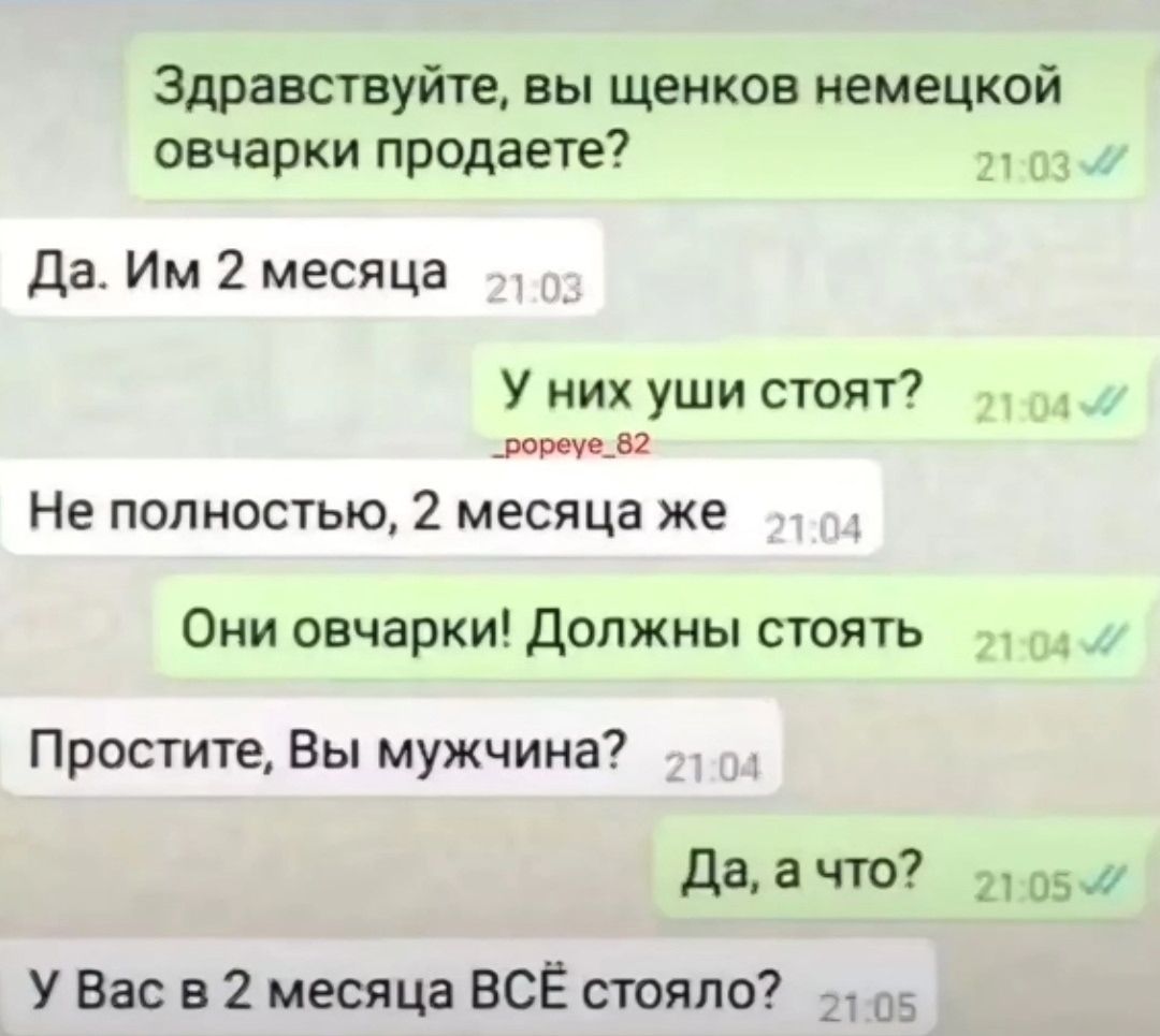 Здравствуйте, вы щенков немецкой овчарки продаете?
Да. Им 2 месяца
У них уши стоят?
Не полностью, 2 месяца же
Они овчарки! Должны стоять
Простите, Вы мужчина?
Да, а что?
У Вас в 2 месяца ВСЁ стояло?