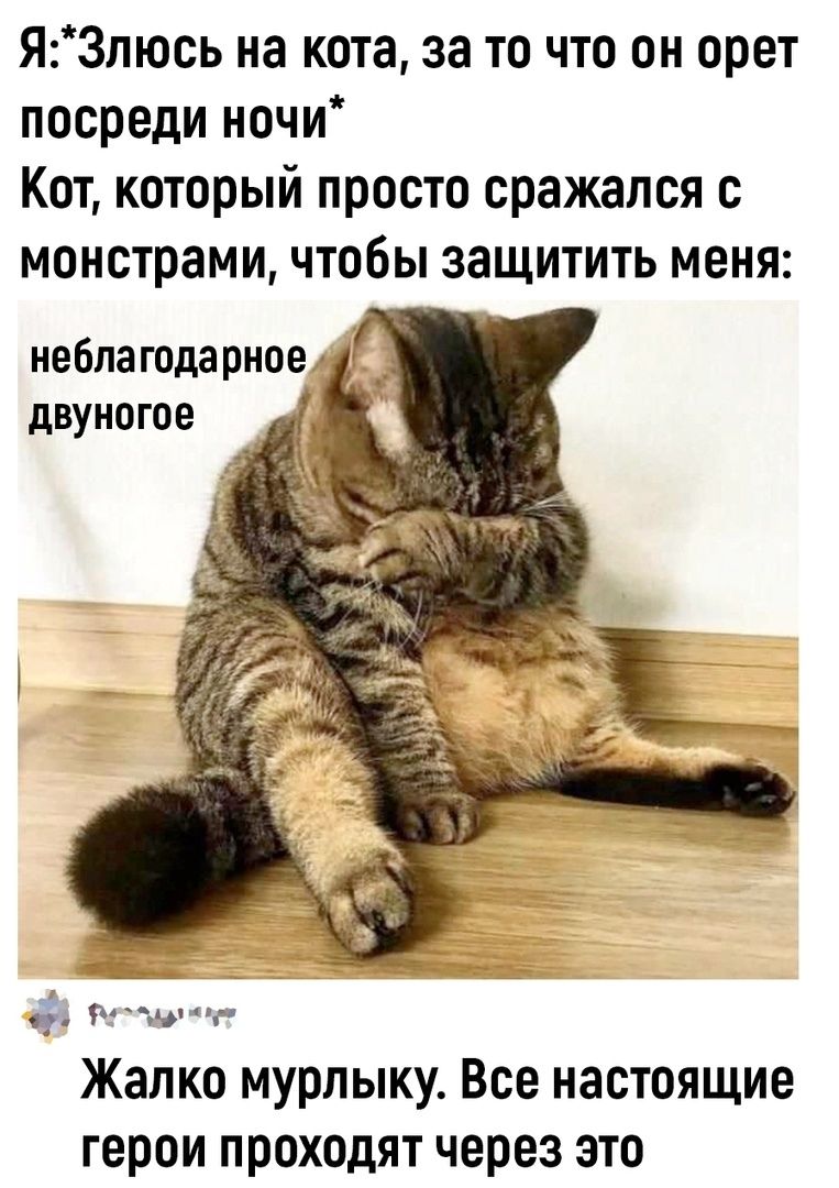 Я:*Злюсь на кота, за то что он орет посреди ночи* Кот, который просто сражался с монстрами, чтобы защитить меня: неблагодарное двуногое

Жалко мурлыку. Все настоящие герои проходят через это