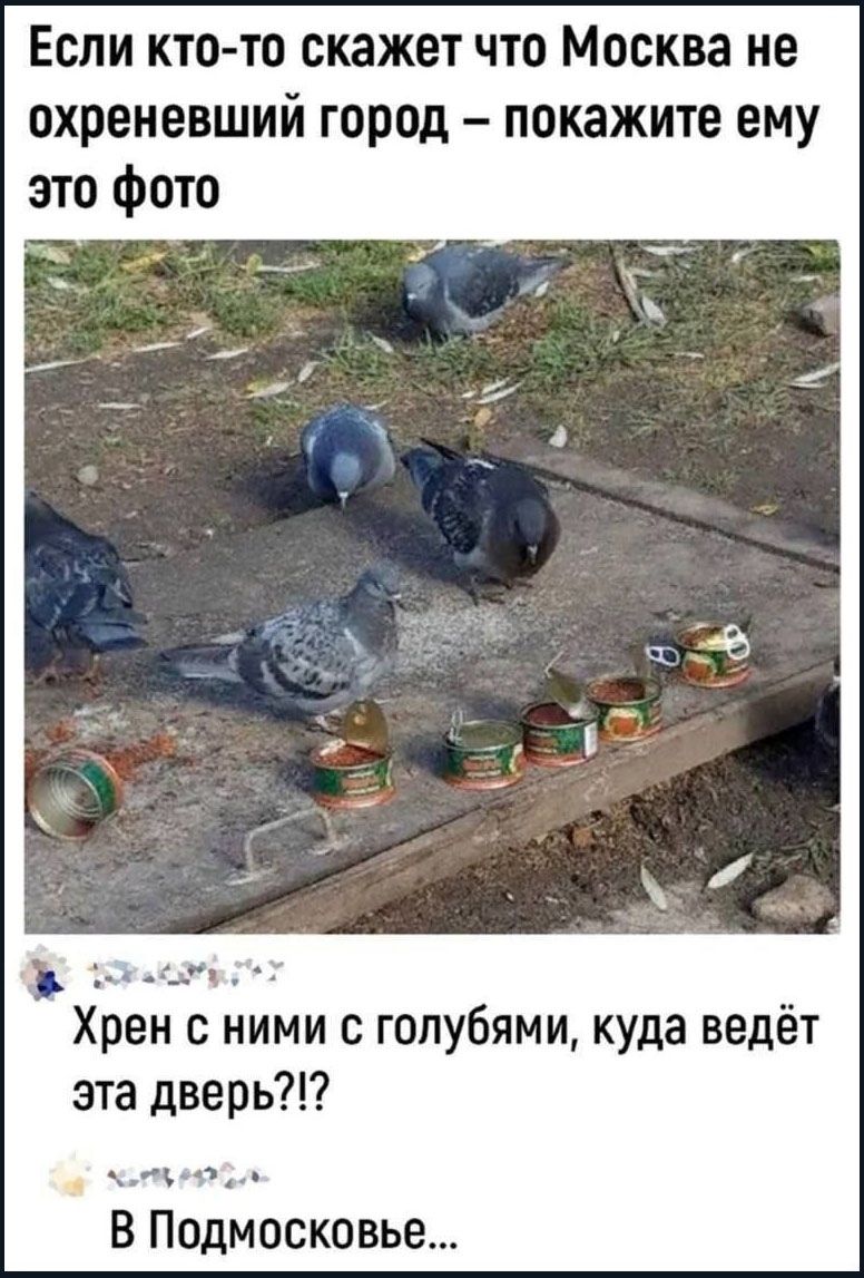 Если кто-то скажет что Москва не охреневший город – покажите ему это фото

Хрен с ними с голубями, куда ведёт эта дверь?!? В Подмосковье...