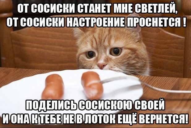 ОТ СОСИСКИ СТАНЕТ МНЕ СВЕТЛЕЙ, ОТ СОСИСКИ НАСТРОЕНИЕ ПРОСНЕТСЯ! ПОДЕЛИСЬ СОСИСКОЙ СВОЕЙ И ОНА КТЕБЕ НЕ В ЛОТОК ЕЩЁ ВЕРНЕТСЯ!