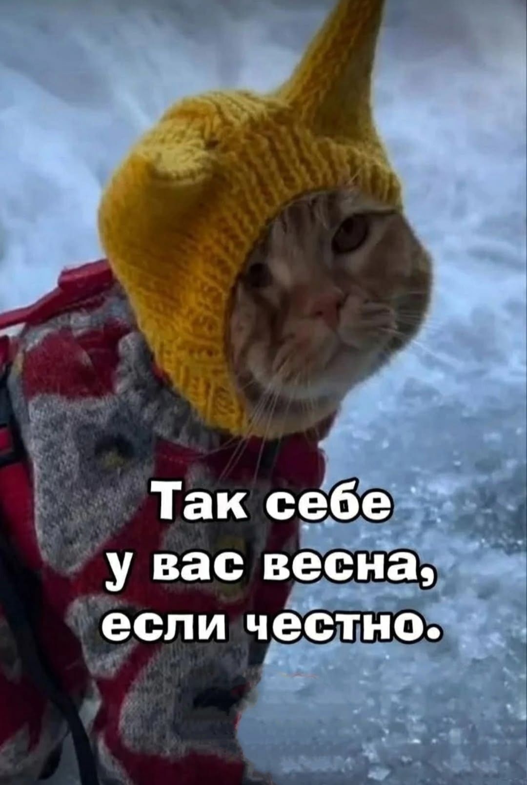 Так себе у вас весна, если честно.