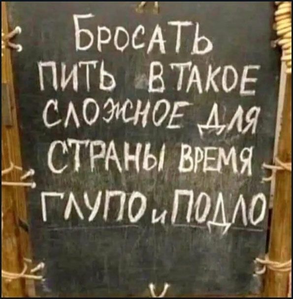 Бросать пить в таком сложном для страны время глупо и подло