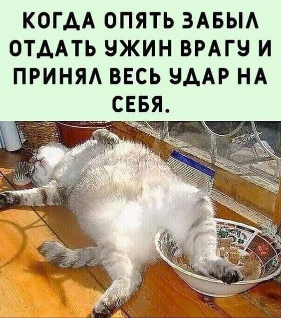 КОГДА ОПЯТЬ ЗАБЫЛ ОТДАТЬ УЖИН ВРАГУ И ПРИНЯЛ ВЕСЬ УДАР НА СЕБЯ.