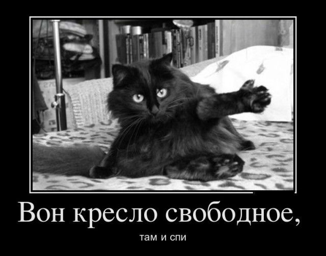 Вон кресло свободное, там и спи