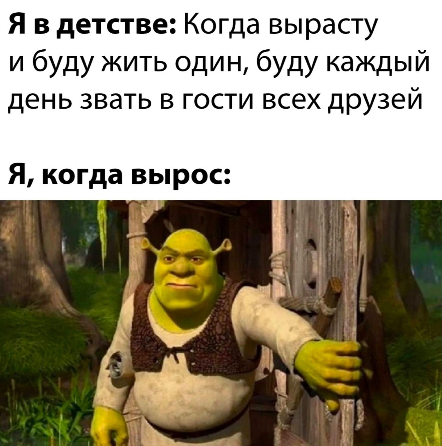 Я в детстве: Когда вырасту и буду жить один, буду каждый день звать в гости всех друзей Я, когда вырос: