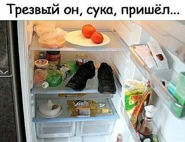 Трезвый он, сука, пришёл...