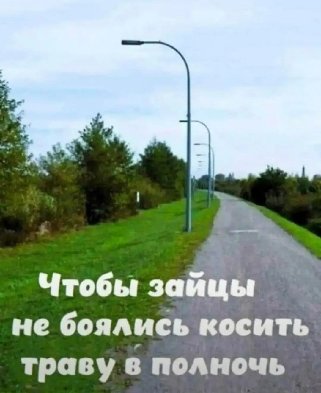 Чтобы зайцы не боялись косить траву в полночь