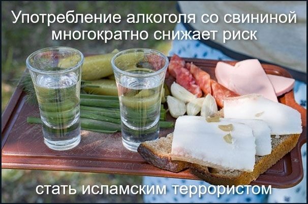 Употребление алкоголя со свининой многократно снижает риск стать исламским террористом