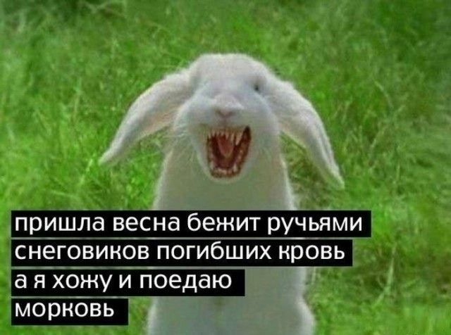 пришла весна бежит ручьями снеговиков погибших кровь а я хожу и поедаю морковь