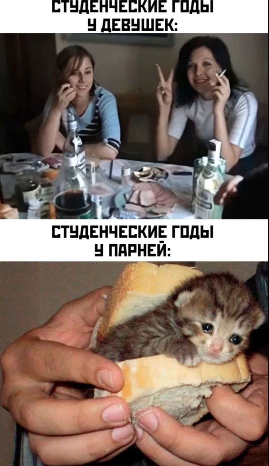 СТУДЕНЧЕСКИЕ ГОДЫ У ДЕВУШЕК: СТУДЕНЧЕСКИЕ ГОДЫ У ПАРНЕЙ: