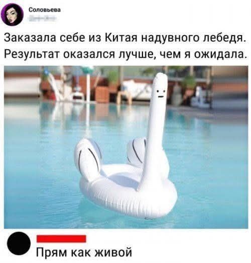 Заказала себе из Китая надувного лебедя. Результат оказался лучше, чем я ожидала. Прям как живой