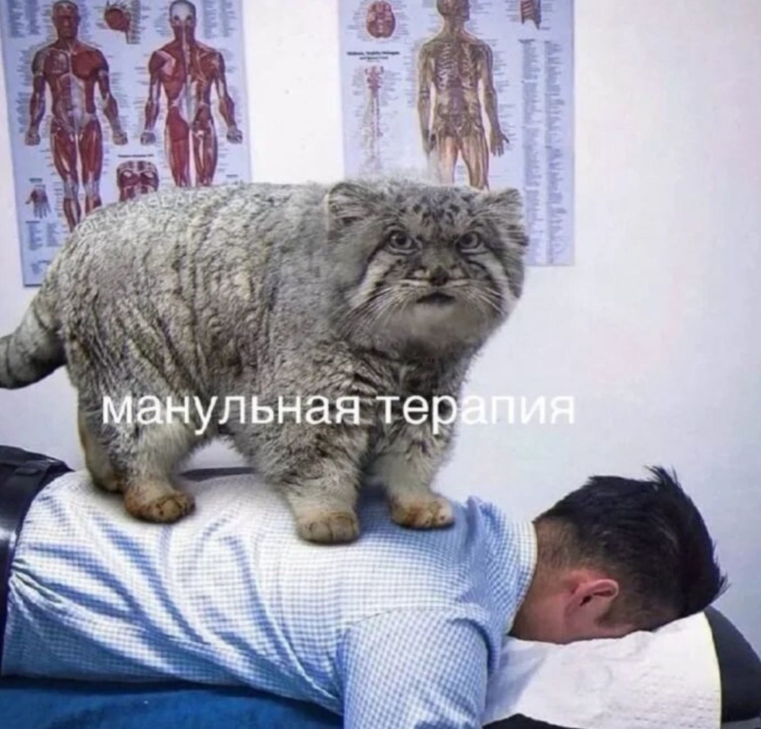 манульная терапия