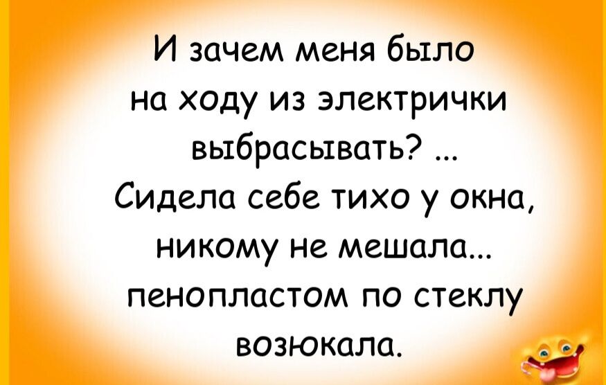 И зачем меня было на ходу из электрички выбрасывать? ... Сидела себе тихо у окна, никому не мешала... пенопластом по стеклу возюкала.