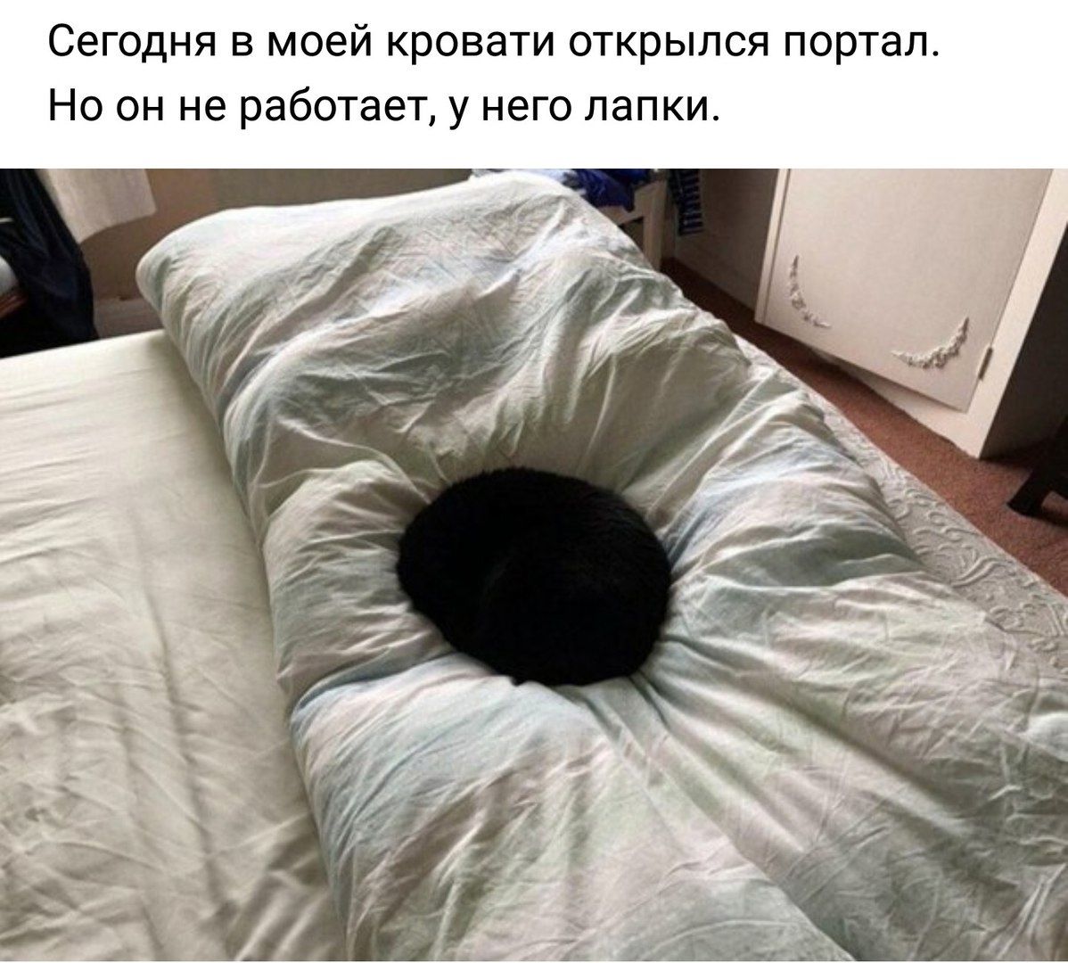 Сегодня в моей кровати открылся портал. Но он не работает, у него лапки.