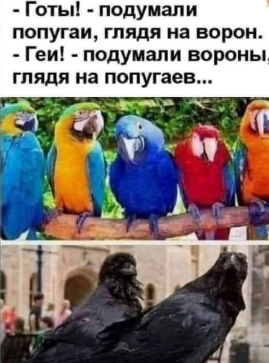 - Готы! - подумали попугаи, глядя на ворон. - Геи! - подумали вороны, глядя на попугаев...