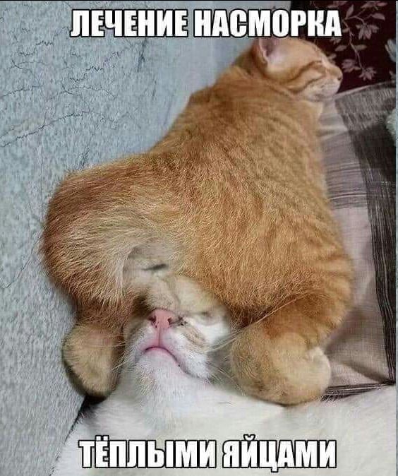 ЛЕЧЕНИЕ НАСМОРКА ТЁПЛЫМИ ЯЙЦАМИ