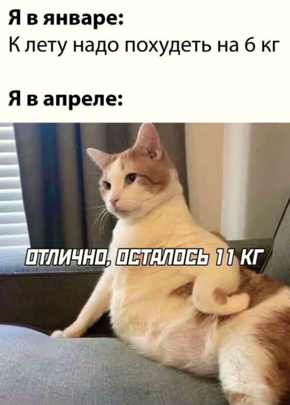 Я в январе: К лету надо похудеть на 6 кг. Я в апреле: отлично, осталось 11 кг.