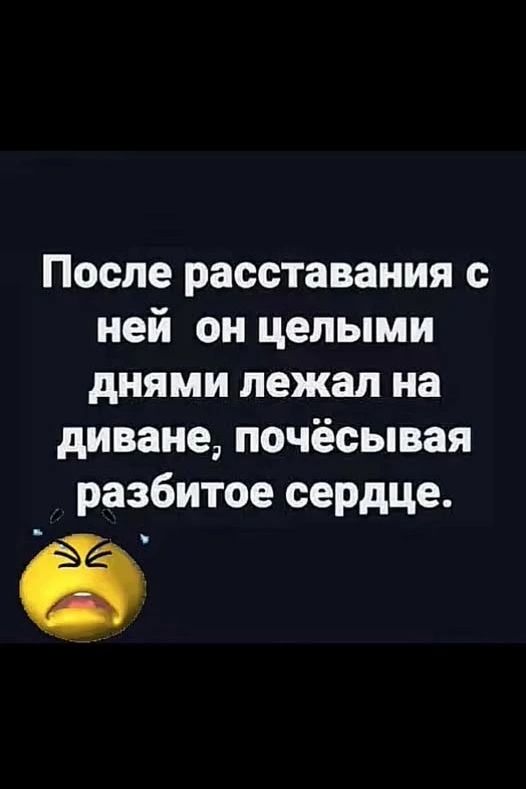 После расставания с ней он целыми днями лежал на диване, почёсывая разбитое сердце.
