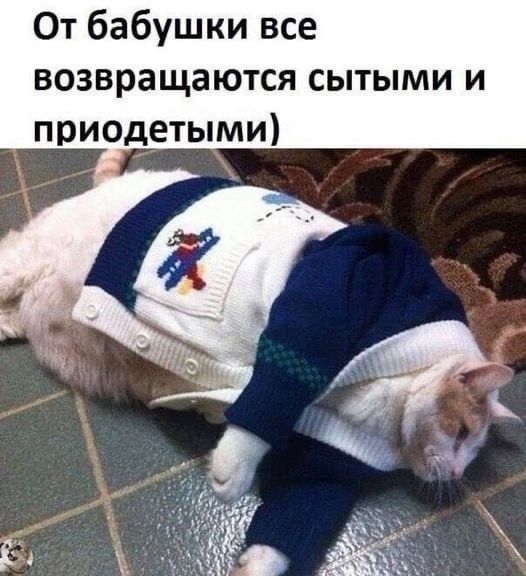 От бабушки все возвращаются сытыми и приодетыми)