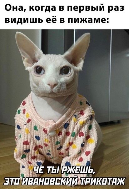 Она, когда в первый раз видишь её в пижаме: ЧЕ ТЫ РЖЕШЬ, ЭТО ИВАНОВСКИЙ ТРИКОТАЖ