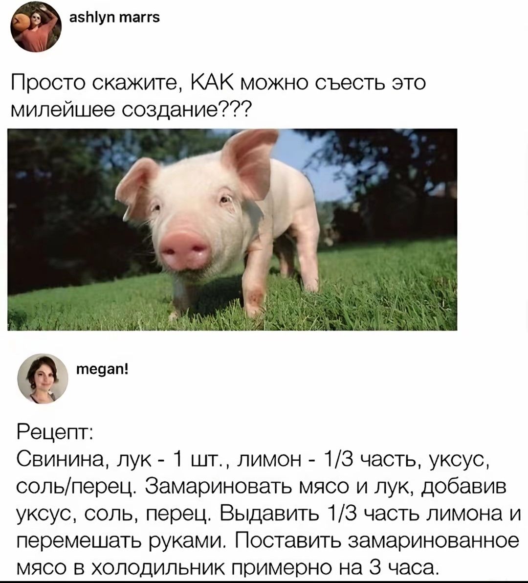 Просто скажите, КАК можно съесть это милейшее создание??? Рецепт: Свинина, лук - 1 шт., лимон - 1/3 часть, уксус, соль/перец. Замариновать мясо и лук, добавив уксус, соль, перец. Выдавить 1/3 часть лимона и перемешать руками. Поставить замаринованное мясо в холодильник примерно на 3 часа.