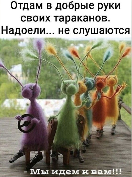 Отдам в добрые руки своих тараканов. Надоели... не слушаются - Мы идем к вам!!!