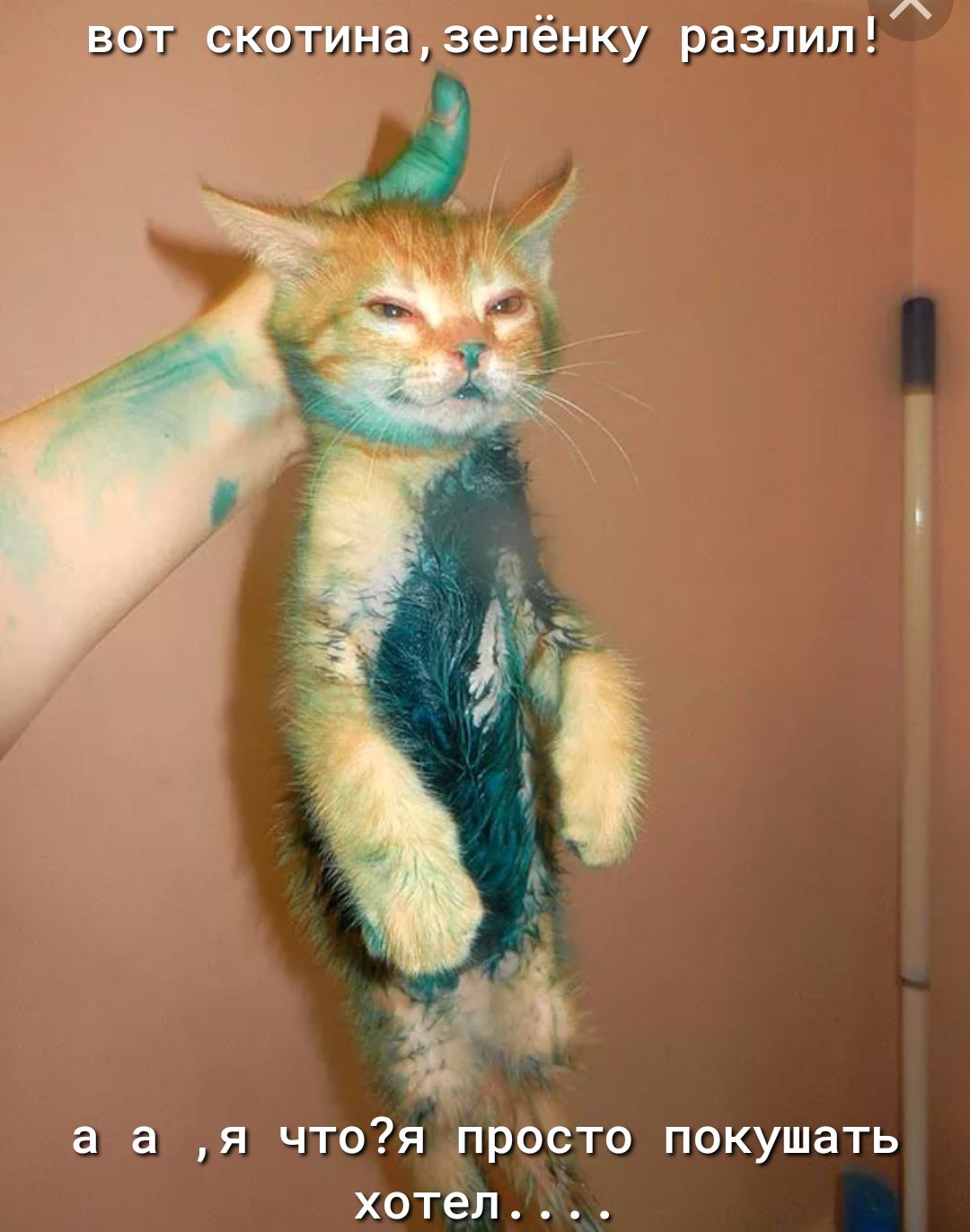 а а я чтоя просто покушать хотел
