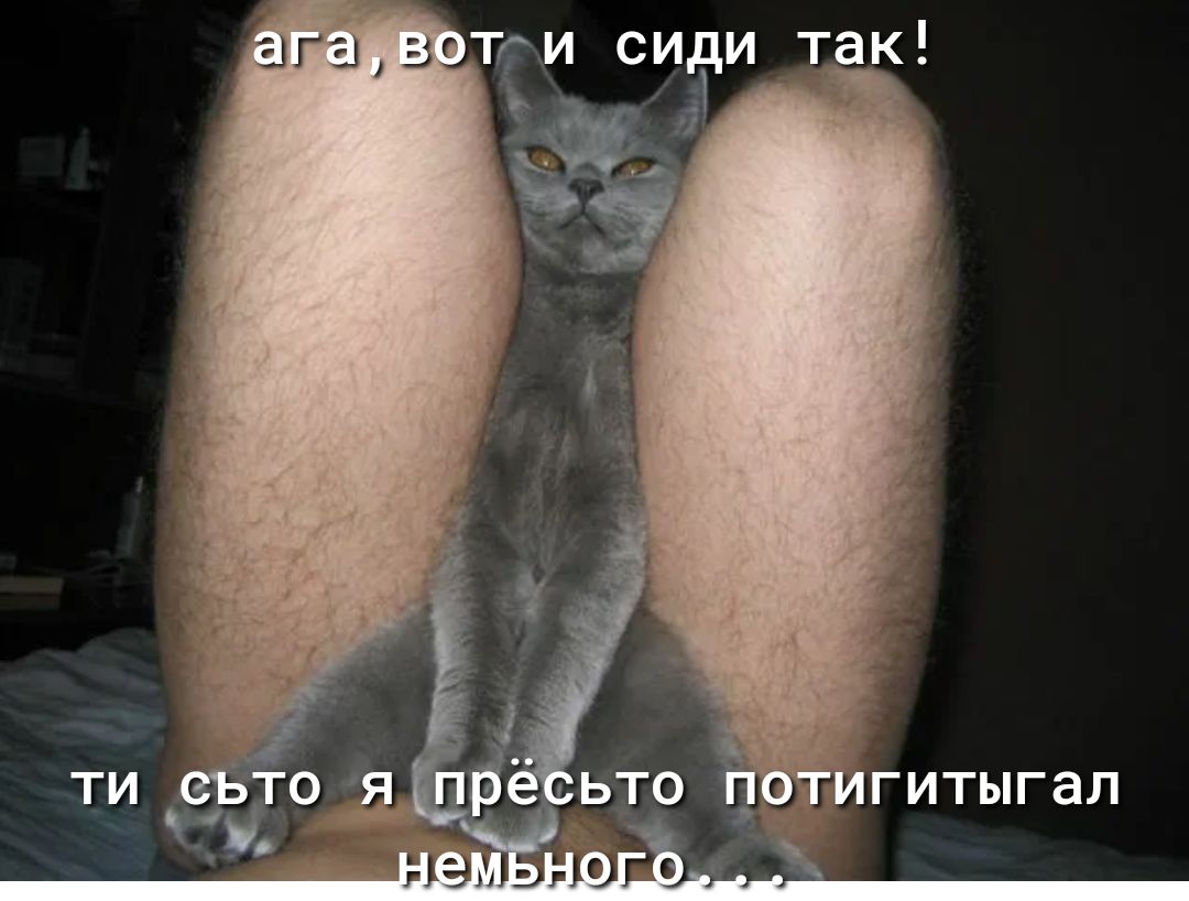 агацзгти сиёи так гитыгал