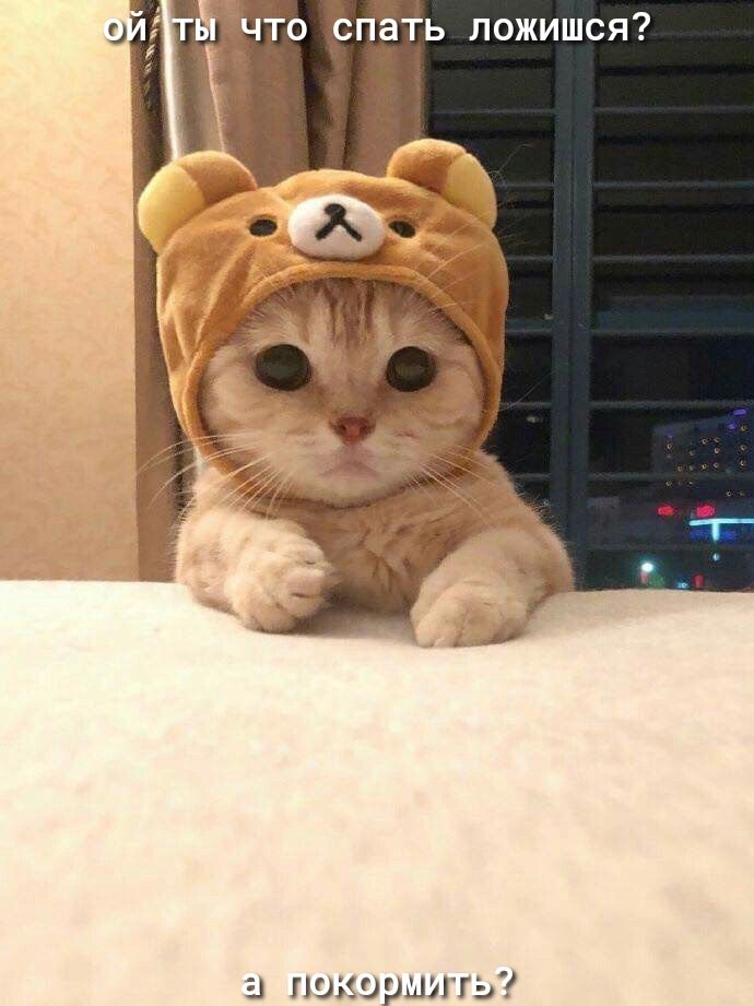 а покоршить