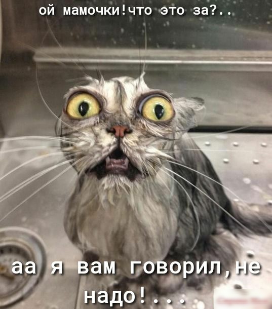 ой мамочкичто 6 го за ам поверил адоід