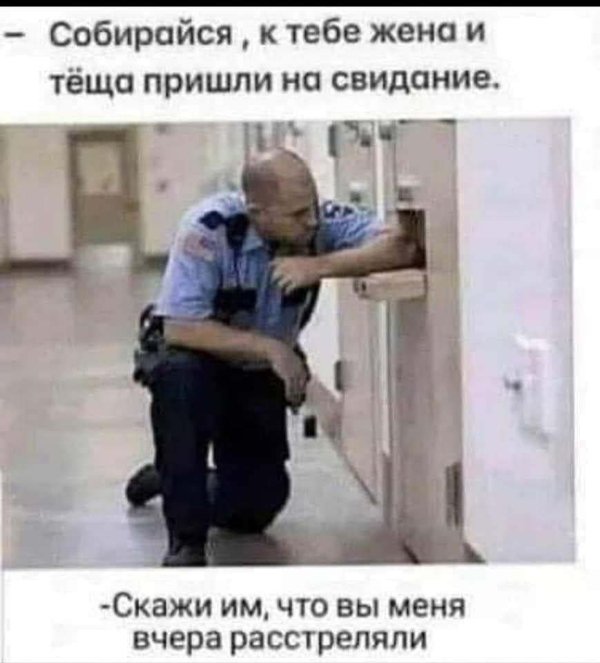 Собирсйся к тебе жена и тещп пришли на свидание Скажи им что вы меня вчера расстреляли