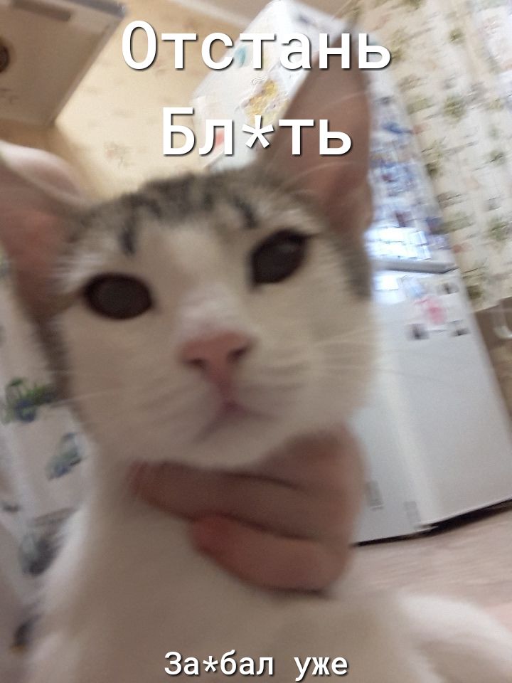 3абал уже