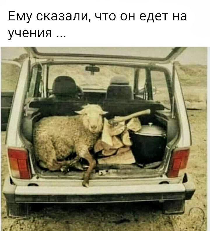Ему сказаличто он едет на учения