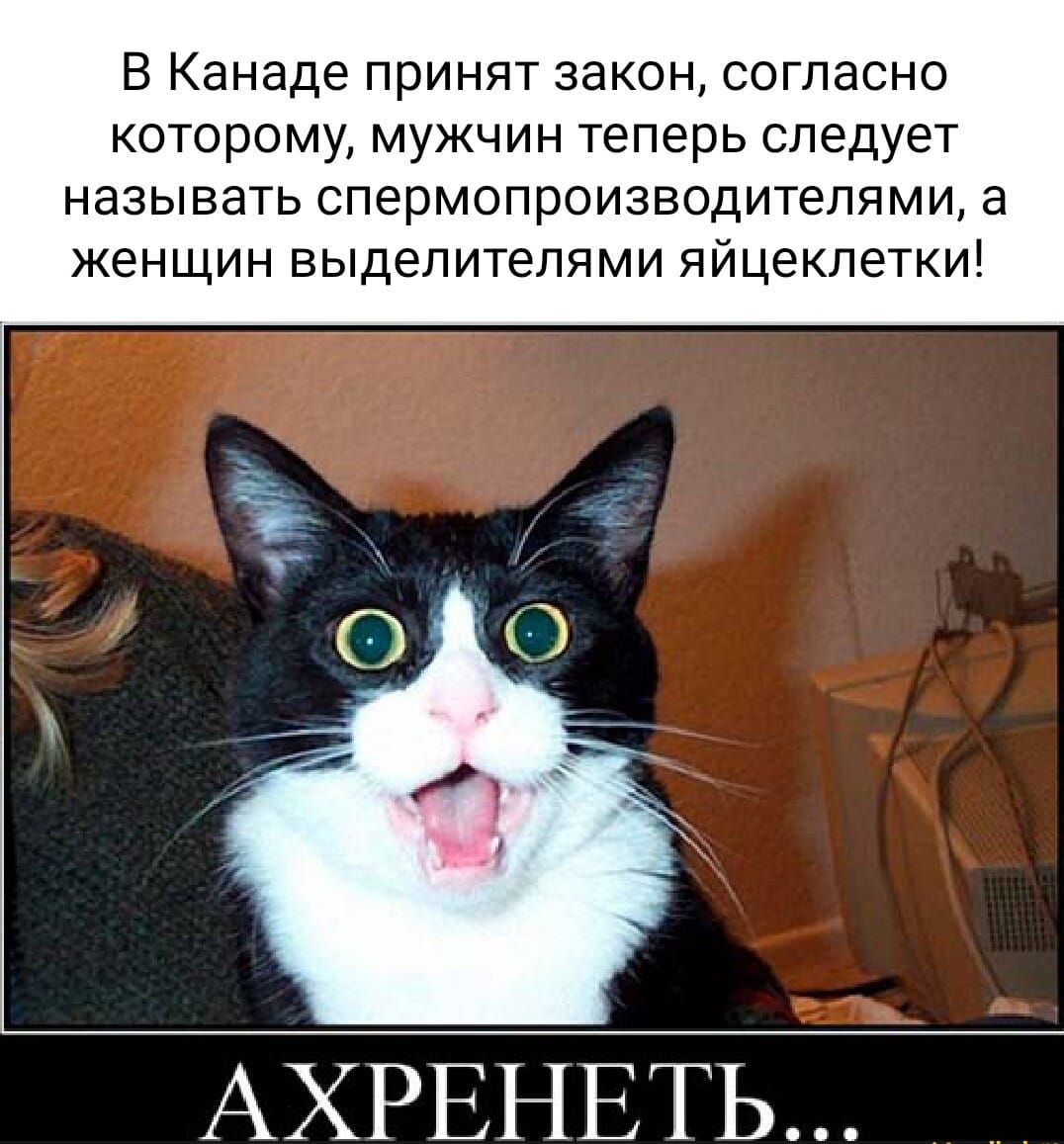В Канаде принят закон согласно которому мужчин теперь следует называть спермопроизводителями 3 женщин выделитепями яйцеклетки АХРЕНЕТЬ