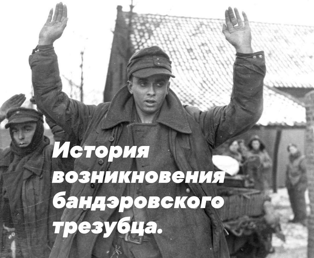 История возникновеии бандэровсКЬго трезубда 1