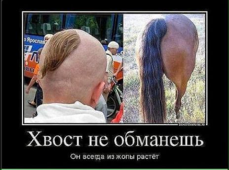 ъ Хвост не обманешь ом всегда на жппн растет