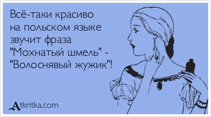 Всё таки красиво на ПОАЬСКОМ языке звучит фраза Мохнатый шмеАь _ Всоснявый жужик ГВ _Акхпскыот 7