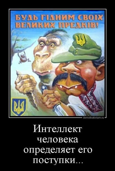 Интеллект человека определяет его поступки